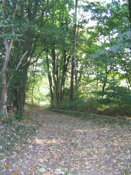 144_4483.JPG