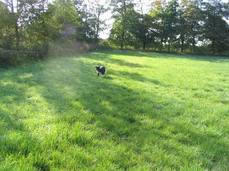 144_4500.JPG
