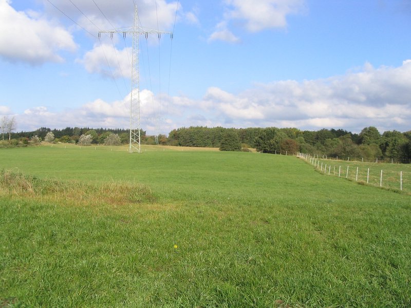 145_4501.JPG