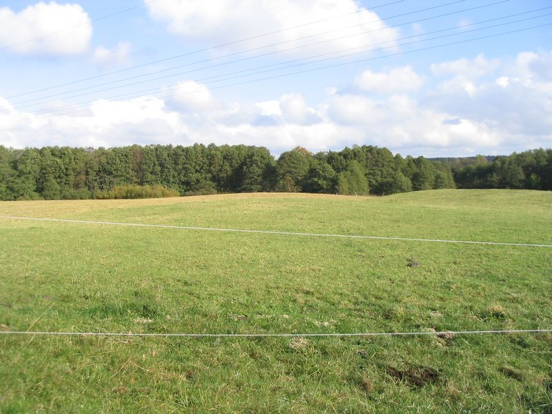 145_4533.JPG