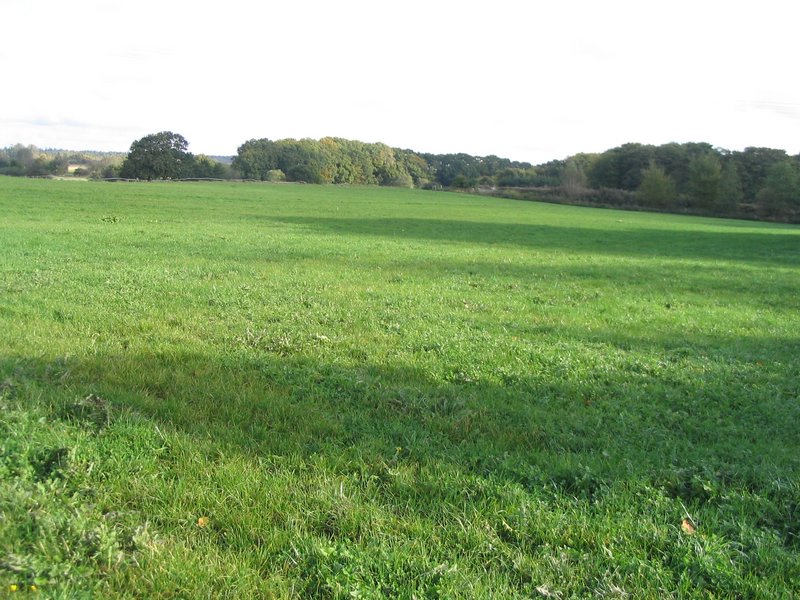 145_4540.JPG