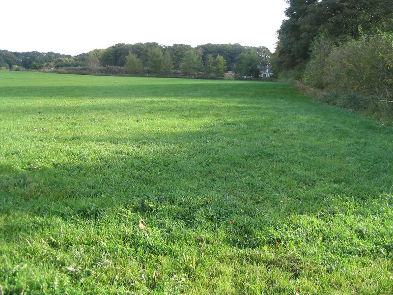 145_4541.JPG