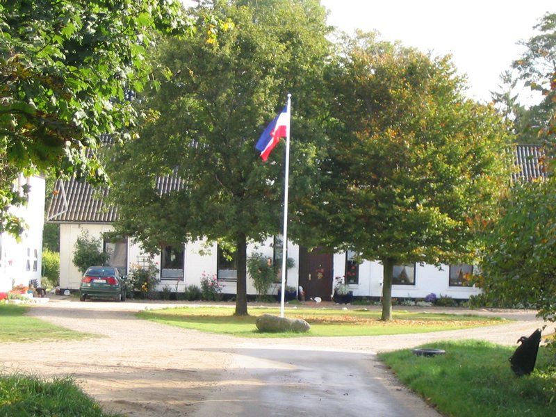 145_4544.JPG