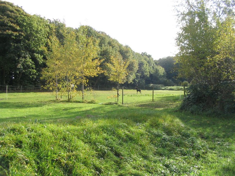 145_4549.JPG