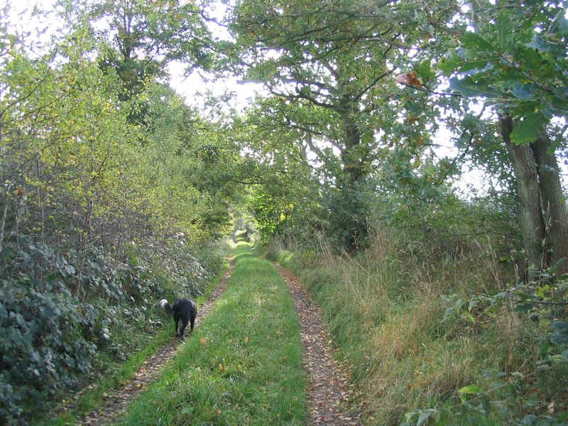 145_4550.JPG
