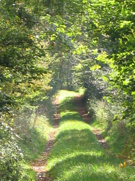 145_4553.JPG