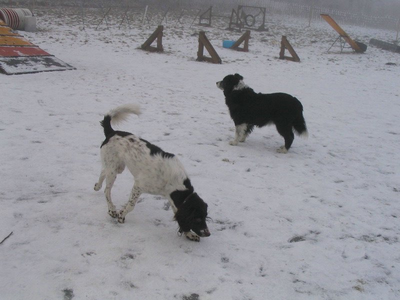 150_5049.JPG