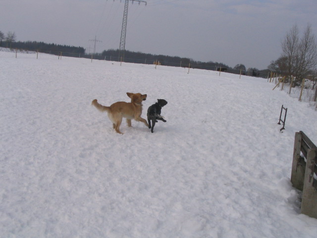 156_5605.JPG