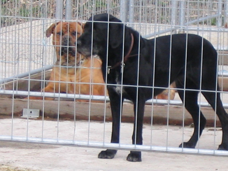 157_5779.JPG