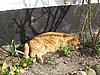 133_3343.JPG