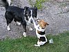 134_3425.JPG