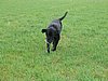 142_4298.JPG