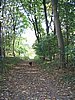 144_4487.JPG