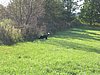 145_4502.JPG