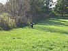 145_4503.JPG