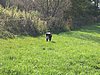 145_4504.JPG
