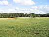145_4533.JPG