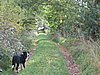 145_4551.JPG