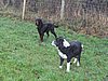 146_4617.JPG