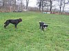 146_4648.JPG