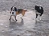 149_4902.JPG