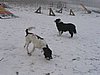 150_5049.JPG