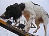150_5076.JPG