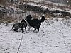 151_5173.JPG