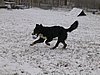 154_5427.JPG