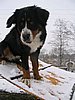 154_5437.JPG