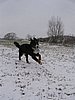 154_5451.JPG
