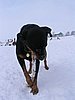 154_5472.JPG