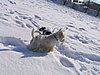 155_5501.JPG