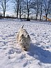 155_5514.JPG