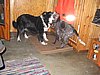 155_5524.JPG