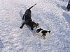 155_5540.JPG