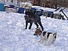 155_5553.JPG