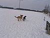 156_5605.JPG