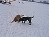 156_5608.JPG