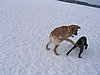 156_5609.JPG