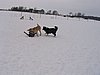 156_5623.JPG