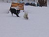 156_5643.JPG