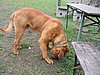 157_5706.JPG