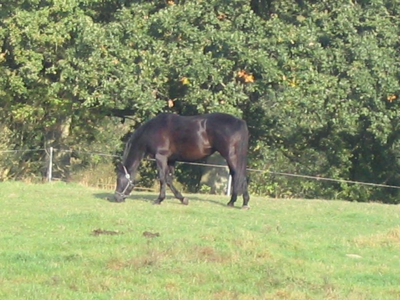 144_4497.JPG