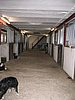 139_3921.JPG