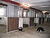 139_3922.JPG