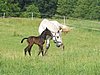 140_4019.JPG