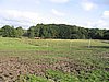 144_4493.JPG
