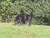 144_4497.JPG